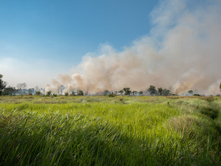Fototapeta na wymiar Burning Farm Fields
