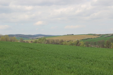 Spring in nature. Photo Czech republic, Europe