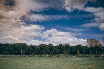 Fototapeta premium Parque