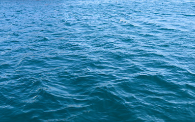 海の波間 © yukari m