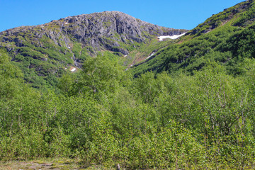 Fototapeta premium Hiking in Godvassdalen in Northern Norway