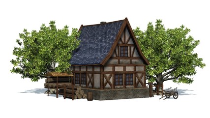 medieval cottage between trees - front view - isolated on white background