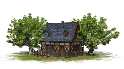 medieval cottage between trees on a green area - back view - isolated on white background