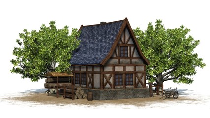 medieval cottage between trees on a sand area - front view - isolated on white background