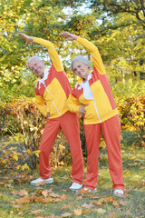 Fototapeta premium Fit senior couple exercising in autumn park