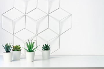 Shelf on a white empty wall with space for text. Copy space. Green succulents and metal geometric...