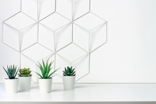 Shelf on a white empty wall with space for text. Copy space. Green succulents and metal geometric decoration.