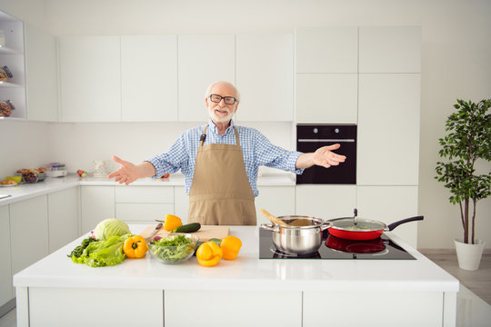 Close up photo cheer grey haired he his him grandpa open hands invite guests students learn teach study cuisine master class wear specs casual checkered plaid shirt jeans denim outfit kitchen