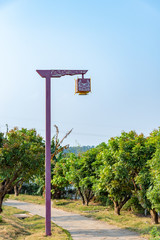 Street lights in the Confucius Cultural city of Suixi