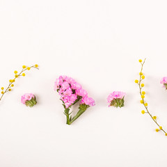 Flowers on a white background - hello spring and hello summer
