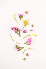 Flowers on a white background - hello spring and hello summer