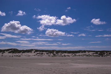 Fototapeta na wymiar Dunes with a Cloudy Sky
