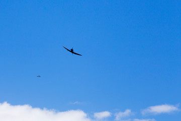 Vintage and modern planes above the Atherton Tablelands in Tropical North Queensland, Australia