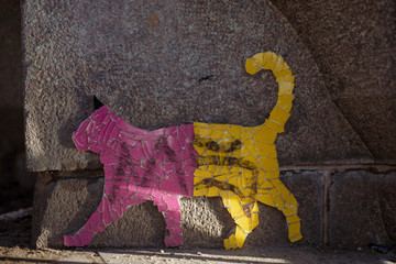cat