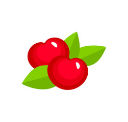 Vector illustration of two red ripe cherries with leaves. Flat icon set of organic fresh berries. Natural vegetarian food. Isolated object