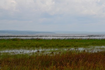 Summer stories. Lake in the forest.
