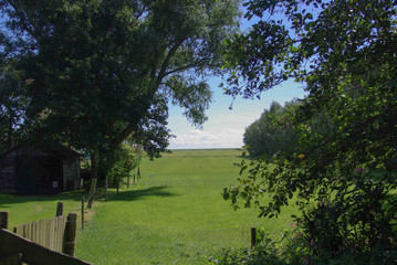 Fototapeta na wymiar Meadow with a View