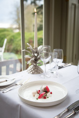 fine dining place setting with garden view