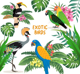 Exotic birds set, crowned crane, colorful parrots lovebirds and blue with yellow wings macaw, friendly great hornbill, leaves and flowers, vector illustration. © MarySan