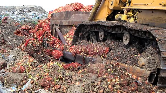 At the city dump, a tractor with tracks and a bucket presses the products that have fallen under sanctions, in this case it is a bow.