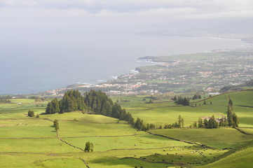 Vista panoramica Açores - 254884753