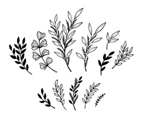 Hand sketched vector elements ( laurels, leaves, branches). Wild and free. Floral design elements. Perfect for invitations, greeting cards, prints, posters