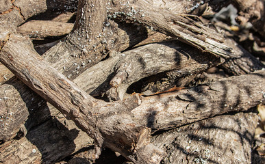 Rod pile for firewood.