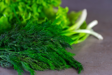 Greens for salad, dill, fresh onions and lettuce on a gray background.