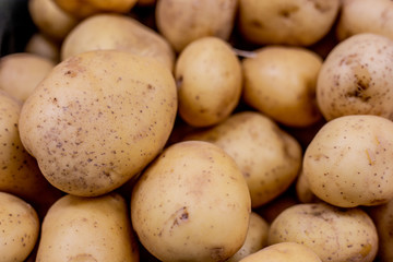 fresh potatoes for baking, cooking and putting in the salad