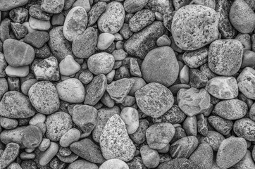 STNOES - Still life on the sea beach