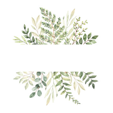 Hand drawn watercolor illustration. Botanical frame with eucalyptus, branches, fern and leaves. Greenery. Floral Design elements. Perfect for wedding invitations, cards, prints, posters, packing