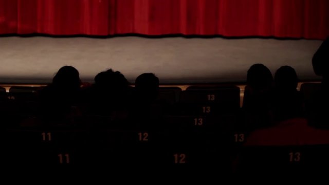 silhouettes of people sitting in a theater waiting to the actors to come out, row of numbered seats in the dark