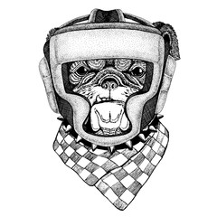 Boxer animal. Vector illustration for t-shirt. Sport, fighter isolated on white background. Fitness illustration of strong person