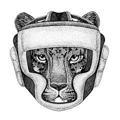 Boxer animal. Vector illustration for t-shirt. Sport, fighter isolated on white background. Fitness illustration of strong person