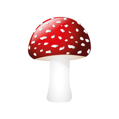 poisonous red fly agaric isolated on white background vector illustration EPS10
