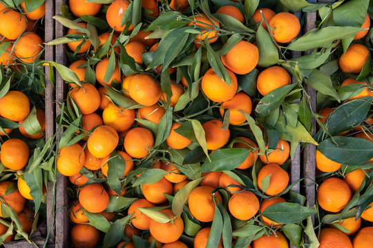 A typical market stall selling oranges to tourists in Marrakech. Traditional morocco fruits oranges in street shop souk