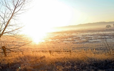 Monring Light over Levels