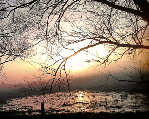 Fototapeta premium Sun Rise Somerset Levels