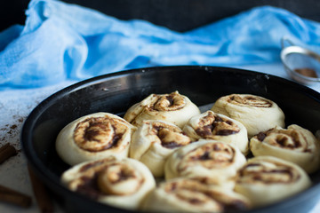 Cinnamon rolls and cinnamon sticks