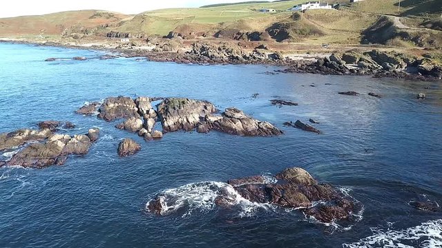 Flight drone over coastal stones where birds and seals sit