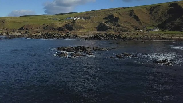Flight drone over coastal stones where birds and seals sit