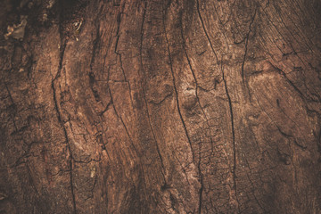 Naklejka premium wood texture background