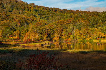 Obraz premium Autumn leaves of Akita Prefecture Hachimantai
