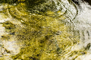 Circles on the surface of the reservoir as a background