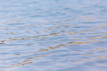 Surface on the pond as a background