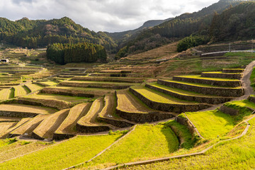 [長崎県]鬼木棚田