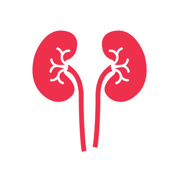 Kidneys Icon vector Stock Vector | Adobe Stock