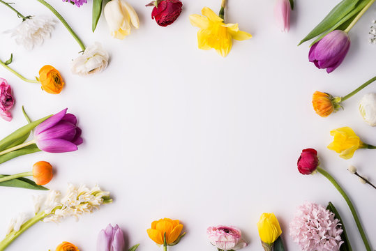 Various Spring Flowers On A White Background. Copy Space.