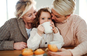 A portrait of small girl with mother and grandmother at the table at home.