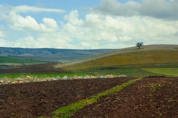 Alone in the countryside. Alone in the sky.